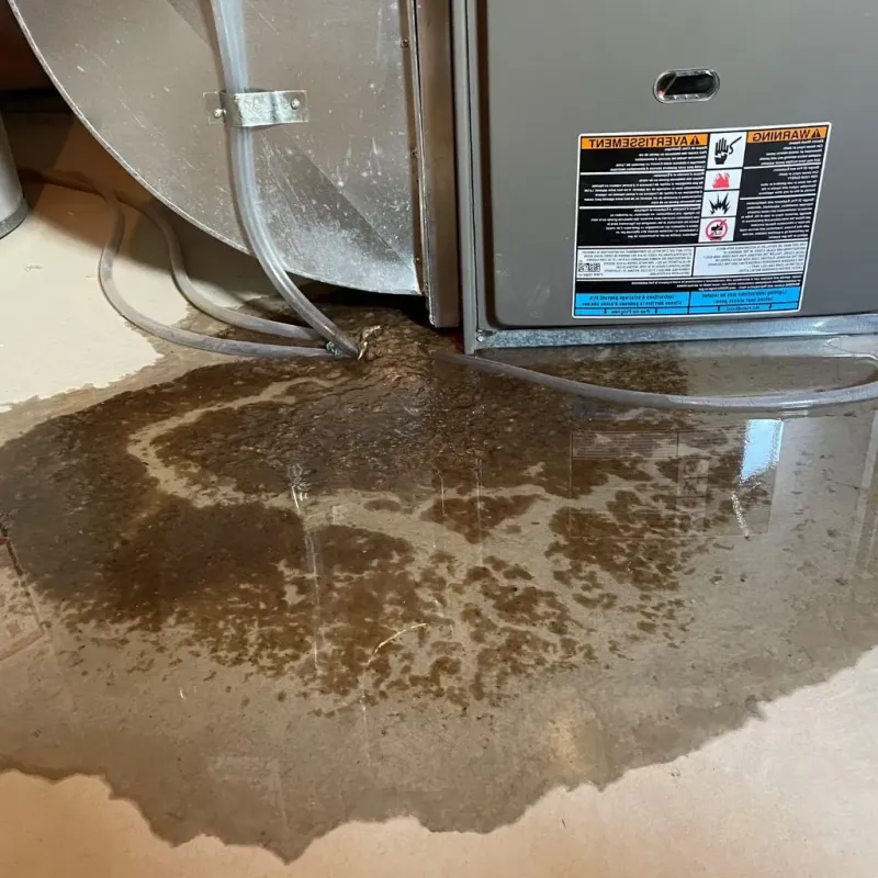 Pipe Burst and Leak Restoration in New Philadelphia, PA