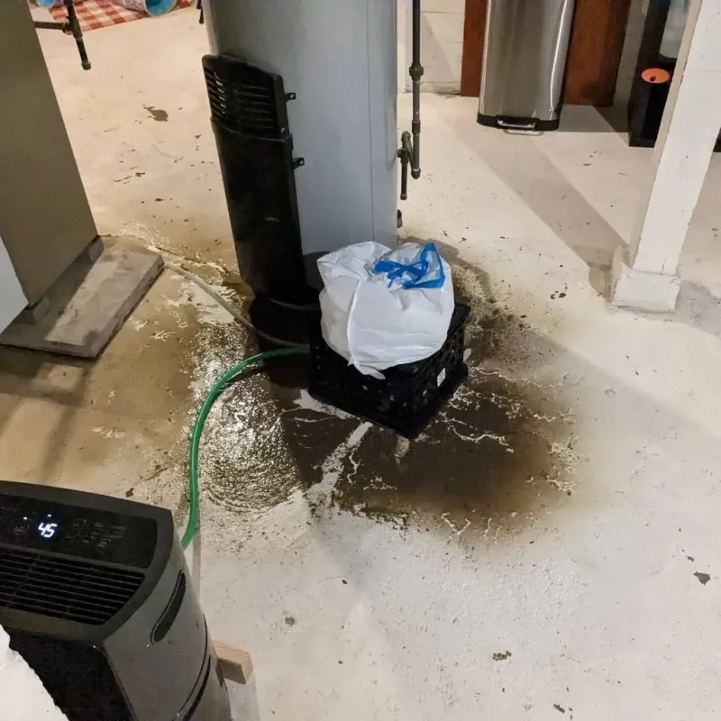 Sewage Backup Cleanup Service in New Philadelphia, PA